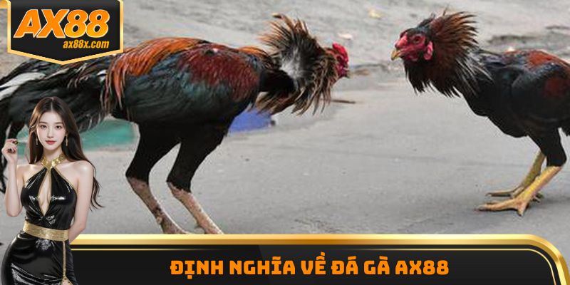 Định nghĩa về đá gà AX88