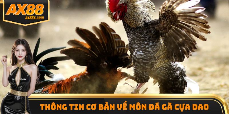 Thông tin cơ bản về môn đá gà cựa dao