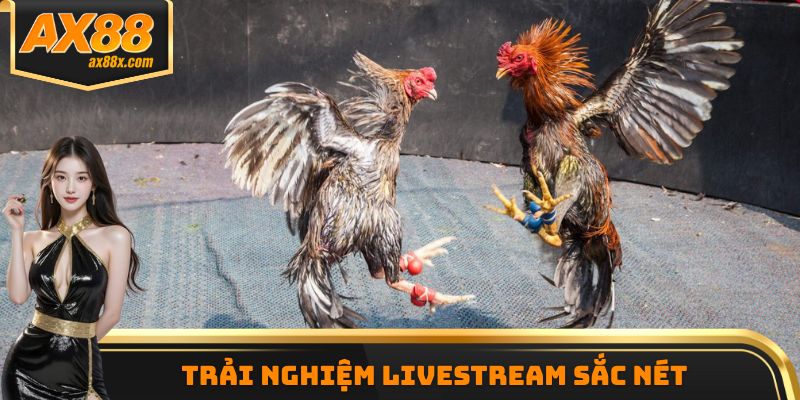 Trải nghiệm Livestream sắc nét
